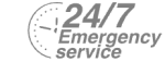 24/7 Emergency Service Pest Control in Chelsea, SW3. Call Now! 020 8166 9746