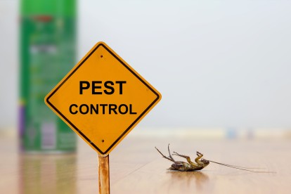 Pest Contol in Chelsea, SW3. Call Now 020 8166 9746